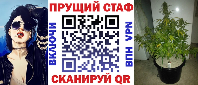 Купить наркотики сайты Чкаловск Alpha PVP  Галлюциногенные грибы  COCAIN  Мефедрон  Амфетамин 