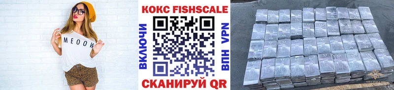 дарнет шоп  Чкаловск  darknet наркотические препараты  Кокаин FishScale 