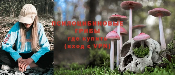 бутират Покров