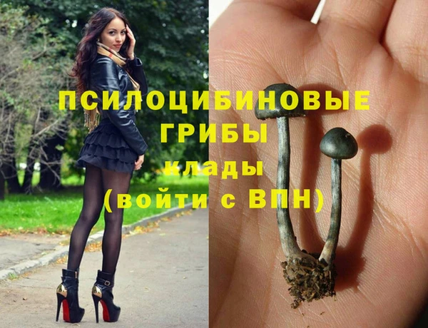 spice Алексеевка
