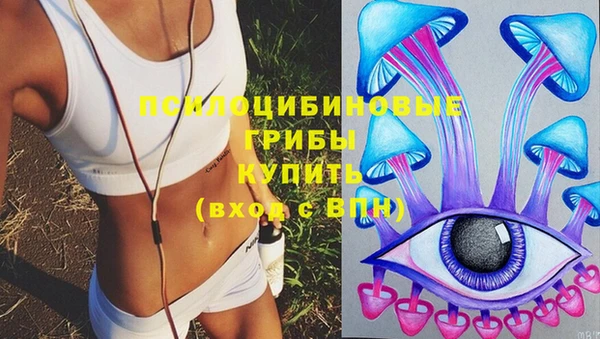 spice Алексеевка