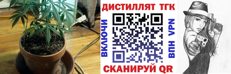 OMG   Чкаловск  ТГК жижа 